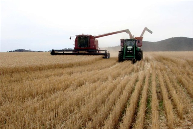 ./harvest_1788083306422